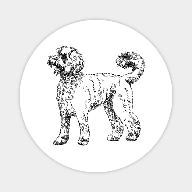 labradoodle portrait Magnet by VicaVeresk